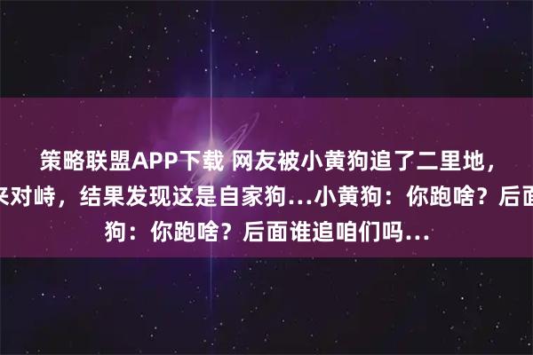 策略联盟APP下载 网友被小黄狗追了二里地，跑不动后停下来对峙，结果发现这是自家狗…小黄狗：你跑啥？后面谁追咱们吗…
