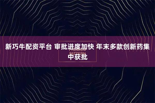 新巧牛配资平台 审批进度加快 年末多款创新药集中获批