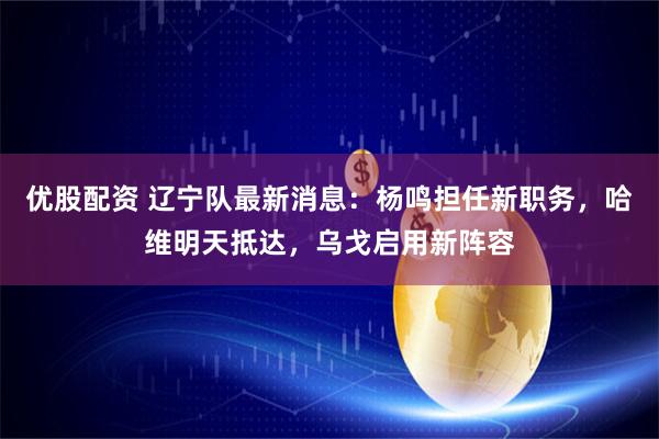 优股配资 辽宁队最新消息：杨鸣担任新职务，哈维明天抵达，乌戈启用新阵容